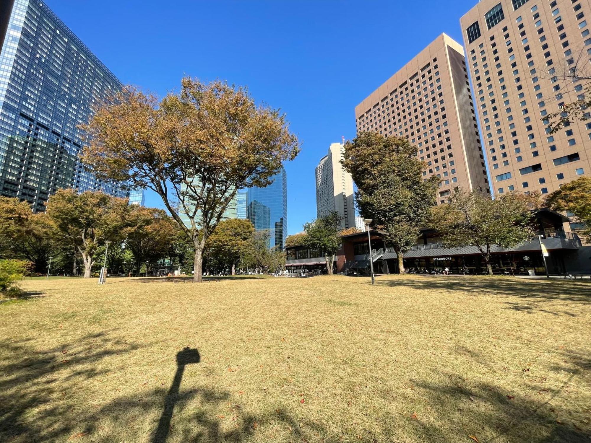 Max4People Shinjuku 7Minutes Shibuya12 Minutes 5Minutes Walk From Hatsudai Station Leon Resort Shibuya Tokio Exterior foto