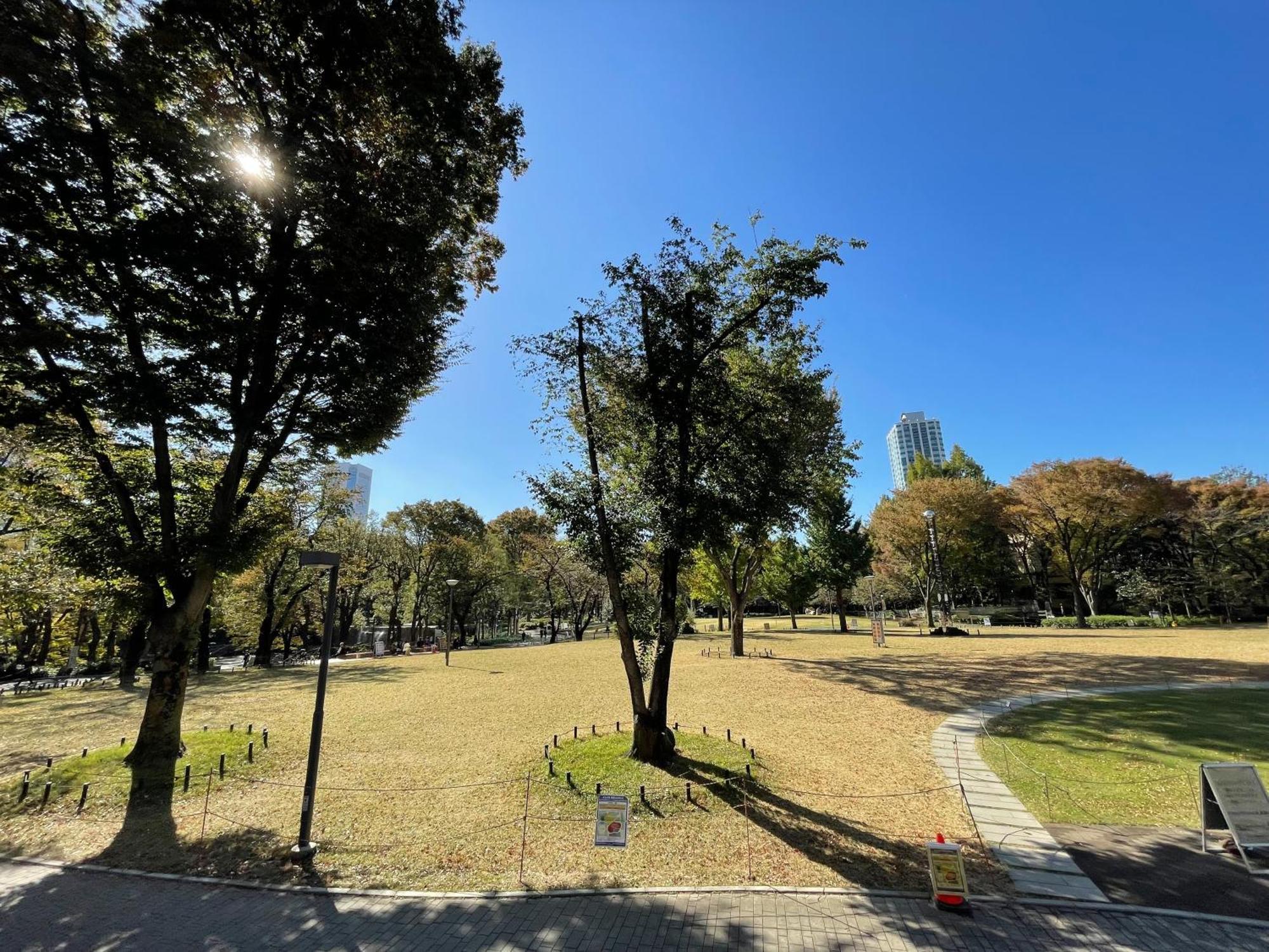 Max4People Shinjuku 7Minutes Shibuya12 Minutes 5Minutes Walk From Hatsudai Station Leon Resort Shibuya Tokio Exterior foto